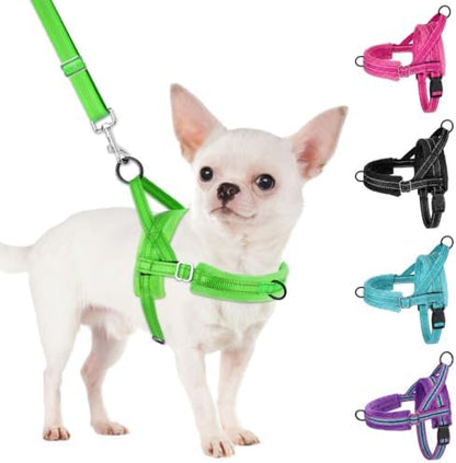 SlowTon No Pull Small Dog Harness and Leash Set by SlowTon