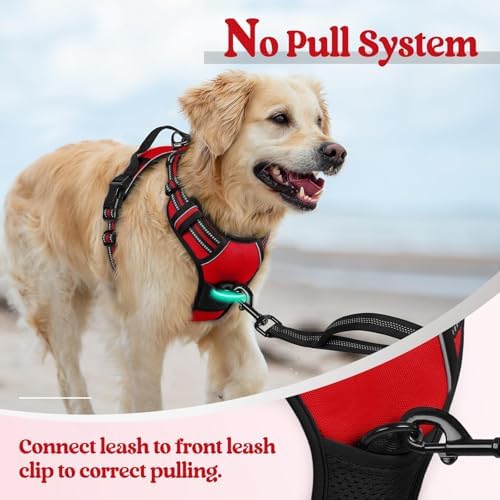 rabbitgoo Dog Harness, No Pull for Large Dogs - Image 5