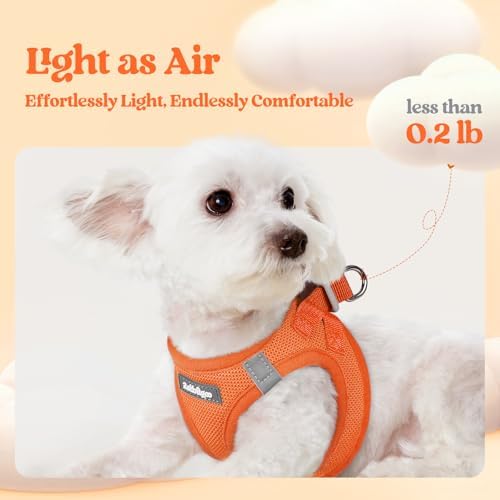 rabbitgoo Dog Harness Medium Sized and Leash Set, Step-in Puppy Pet Vest - Image 3
