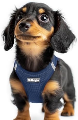 rabbitgoo Step-in Small Dog Harness, Puppy Vest by rabbitgoo