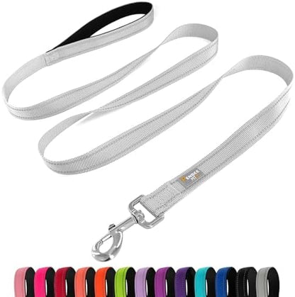 6 FT Basic Dog Leash for Large Dogs by Penseepet