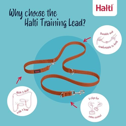 Halti Training Dog Leash | Size L, Burnt Orange | 2m Length - Image 3