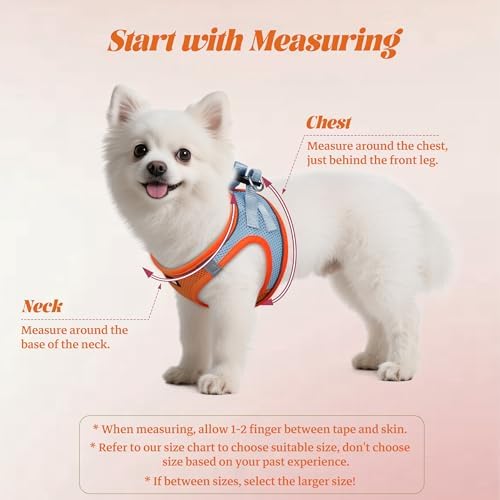 No Pull Dog Puppy Harness and Leash Set Reflective Mesh Vest XX-Small - Image 2