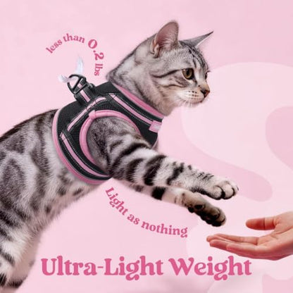 rabbitgoo Cat Harness and Leash Set, Step-in Soft Vest - Image 6
