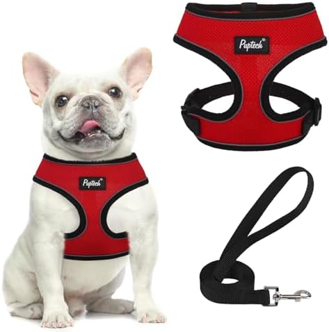 PUPTECK Small Dog Harness and Leash Set No Pull by PUPTECK