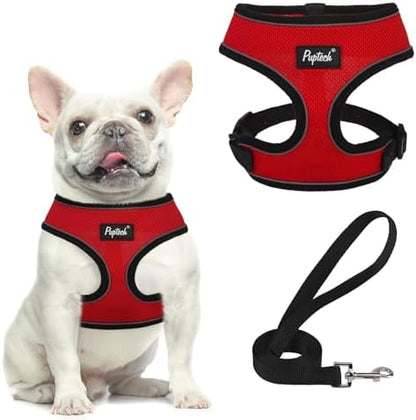 PUPTECK Small Dog Harness and Leash Set No Pull by PUPTECK