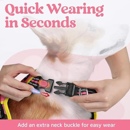 rabbitgoo Dog Harness Medium Sized, No Pull 3 Buckles Easy On & Off - Image 2