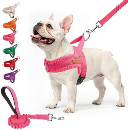 BEAUTYZOO Dog Harness Medium Sized and Leash Set, No Pull Step in Pet Vest by BEAUTYZOO