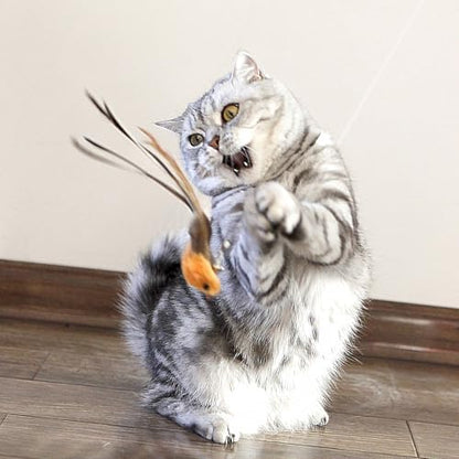 miwoowim Interactive Cat Wand Toy Set, 2 Telescopic Rods & 11 Attachments - Image 6