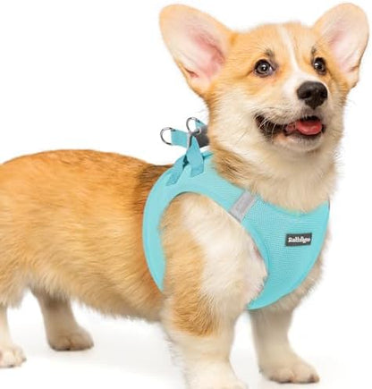 rabbitgoo Step-in Small Dog Harness, Puppy Vest by rabbitgoo