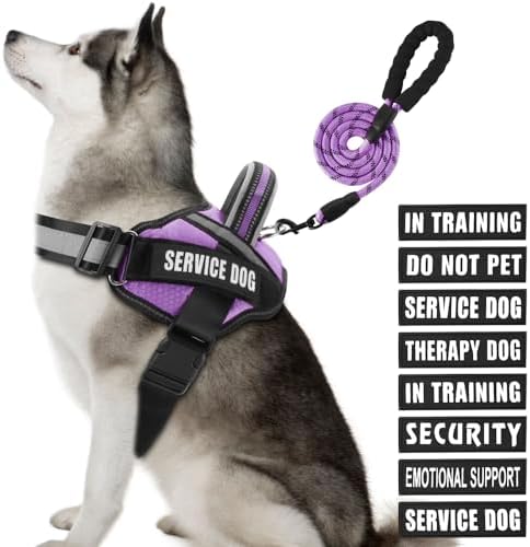 Service Dog Vest Harness and Leash Set, Animire in Training Dog Harness by Animire