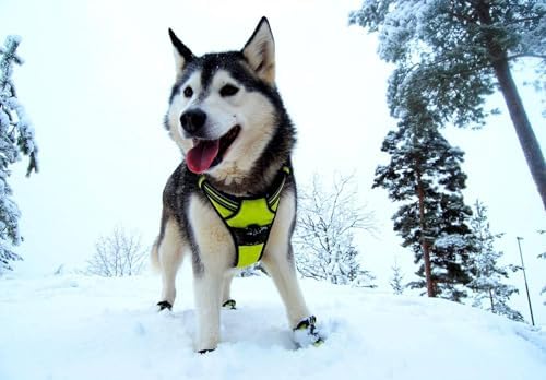 TRUE LOVE Adjustable No-Pull Dog Harness Reflective Vest, Neon Yellow - Image 6