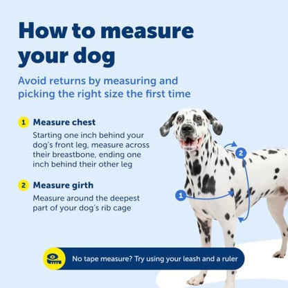 PetSafe Easy Walk Harness, No Pull Dog Harness, Medium/Large - Image 6