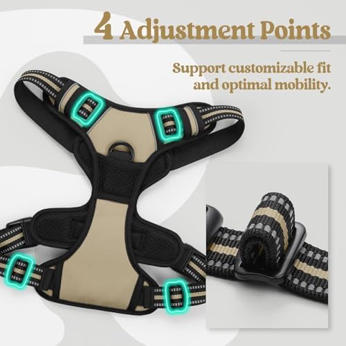 rabbitgoo Dog Harness, No Pull for Small Dogs - Image 4