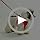 Petank Step in Dog Harness No Pull and Leash - Image 7