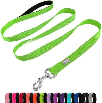 6 FT Basic Dog Leash for Large Dogs by Penseepet