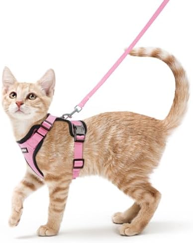 rabbitgoo Cat Harness and Leash Set, Escape Proof Vest by rabbitgoo