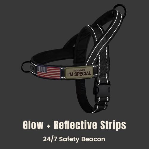 Forestpaw No Pull Dog Harness - Image 6