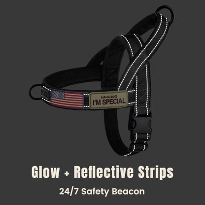 Forestpaw No Pull Dog Harness - Image 6