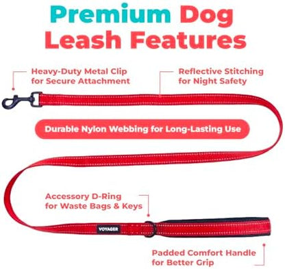Best Pet Supplies Voyager Nylon Dog Leash - Image 2