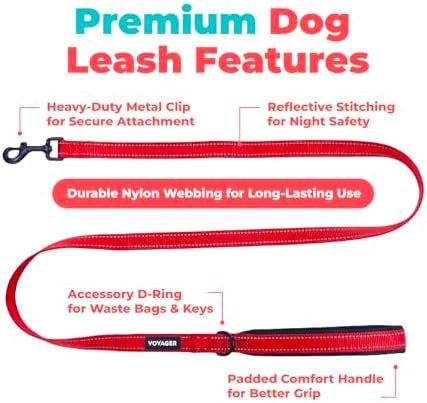 Best Pet Supplies Voyager Nylon Dog Leash - Image 2