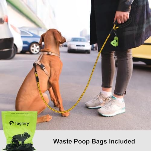 Taglory Rope Dog Leash for Small Medium Dogs, 4 FT Padded Handle - Image 2