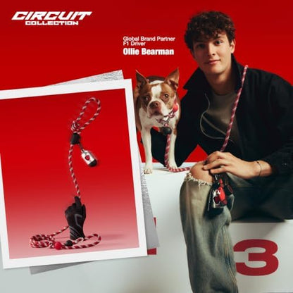 VETRESKA Hands-Free Red Dog Leash, 8FT Rope Leash - Image 2