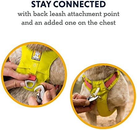 Ruffwear, Hi & Light Dog Chest Harness, Sage Green - Image 4