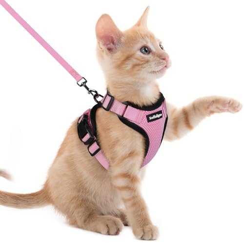 rabbitgoo Cat Harness and Leash Set, Escape Proof Vest by rabbitgoo