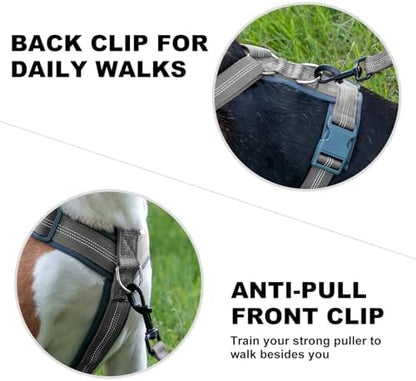 Plutus Pet No Pull Dog Harness, Adjustable Nylon Harness - Image 4