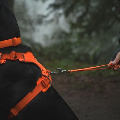 Ruffwear, Front Range Dog Leash, 5 ft Lead, Blaze Orange - Image 4