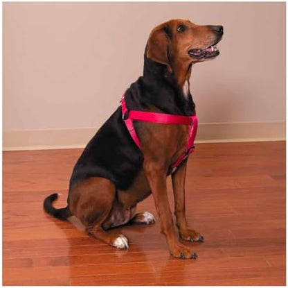 Dog Harness Easy to Use 2 Step Secure Safe Comfortable Firm No Struggle Pull - Image 3