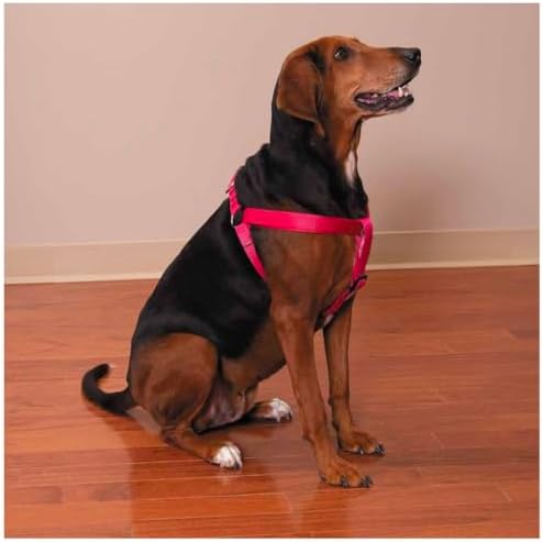 Dog Harness Easy to Use 2 Step Secure Safe Comfortable Firm No Struggle Pull - Image 3