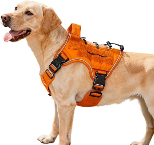 Heavy-Duty Tactical Dog Harness by Bruvoalon
