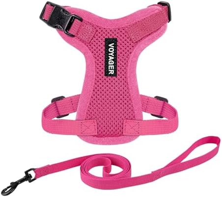 Voyager Step-in Lock Cat Harness & Leash Set by BestPetSuppliesLLC