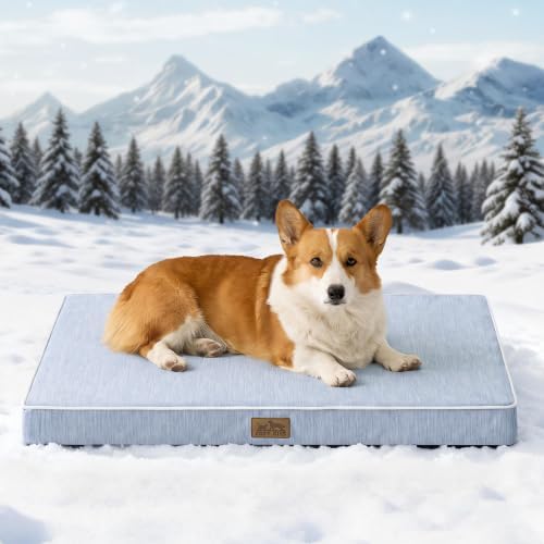 COZY KISS Cooling Orthopedic Dog Bed, Waterproof Lining by COZYKISS