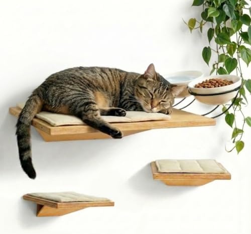 Wall Mounted Cat Shelves with Elevated Ceramic Feeding Station–Scandinavian by Unknown