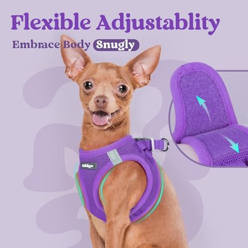 rabbitgoo Step-in Small Dog Harness, Puppy Vest - Image 6