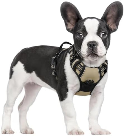 rabbitgoo Dog Harness, No Pull for Small Dogs by rabbitgoo