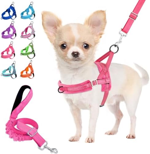 Lukovee Small Dog Harness and Leash Set, No Pull Soft Padded Vest by Lukovee