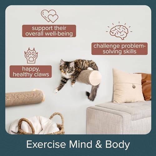 Wall-Mounted Cat Perch & Scratching Post - Image 4