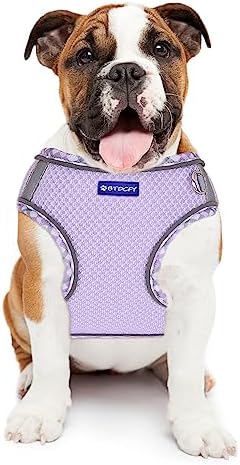 Step in Mesh Dog Harness and Leash Set Breathable Air Mesh Harness - Image 7