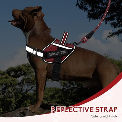 Service Dog Vest Harness and Leash Set, Animire in Training Dog Harness - Image 5