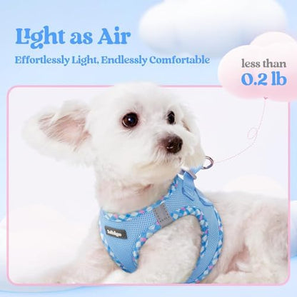 rabbitgoo Dog Harness Small Sized and Leash Set, Step-in Puppy Pet Vest - Image 4