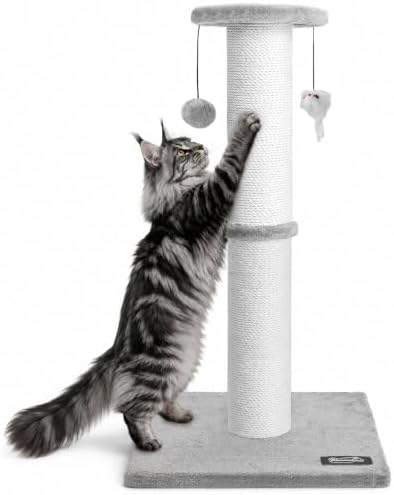 34"Tall Cat Scratching Post for Large Cats, Stable Base, Light Gray by Ahomdoo