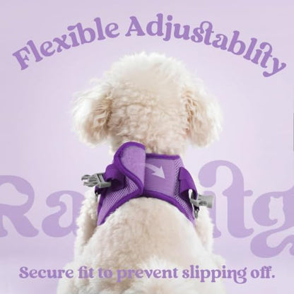rabbitgoo Dog Harness Small Sized and Leash Set, Step in Soft Vest - Image 6