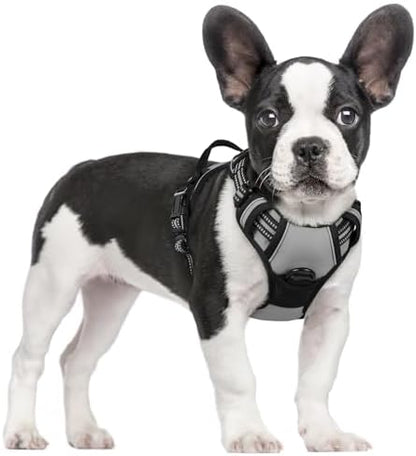 rabbitgoo Dog Harness, No Pull for Small Dogs by rabbitgoo