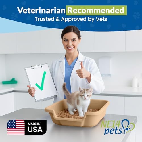 KittyGoHere Senior Cat Litter Box Small - Image 4