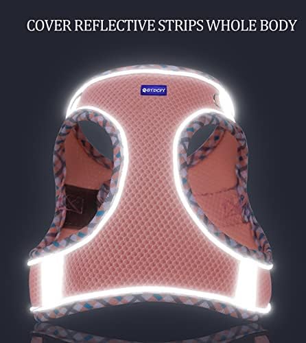 Step in Mesh Dog Harness and Leash Set Breathable Air Mesh Harness - Image 6