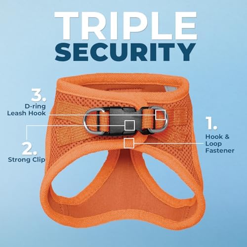 Voyager Step-in Air Cat Harness & Leash Set - Image 2